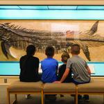 Sternberg Museum-Natural History