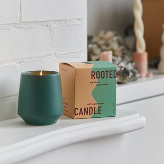 Rooted Candle