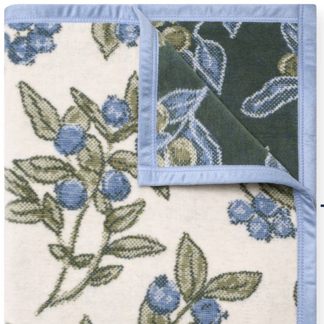 Blueberries Blanket
