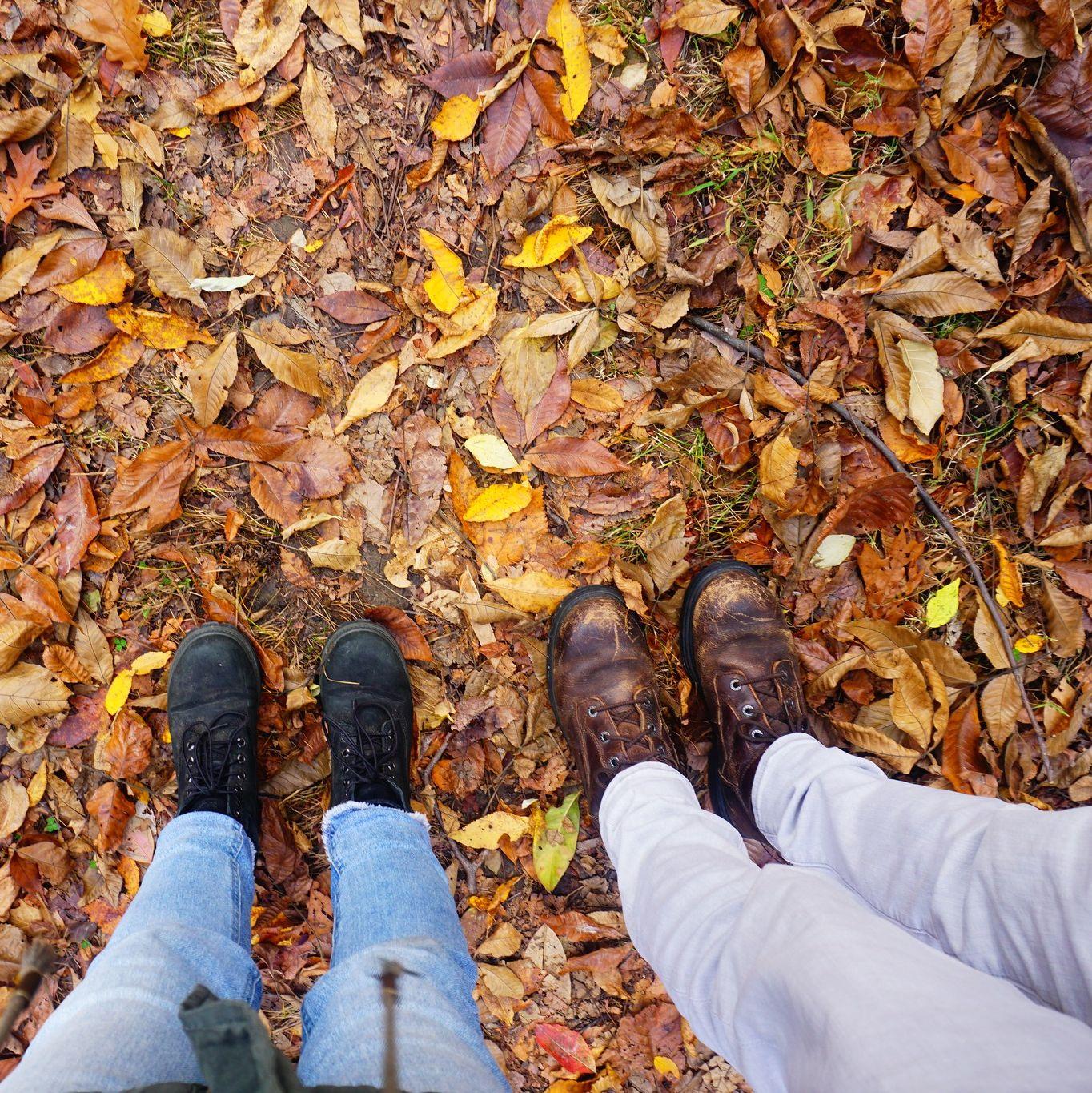 Hike - Fall 2022