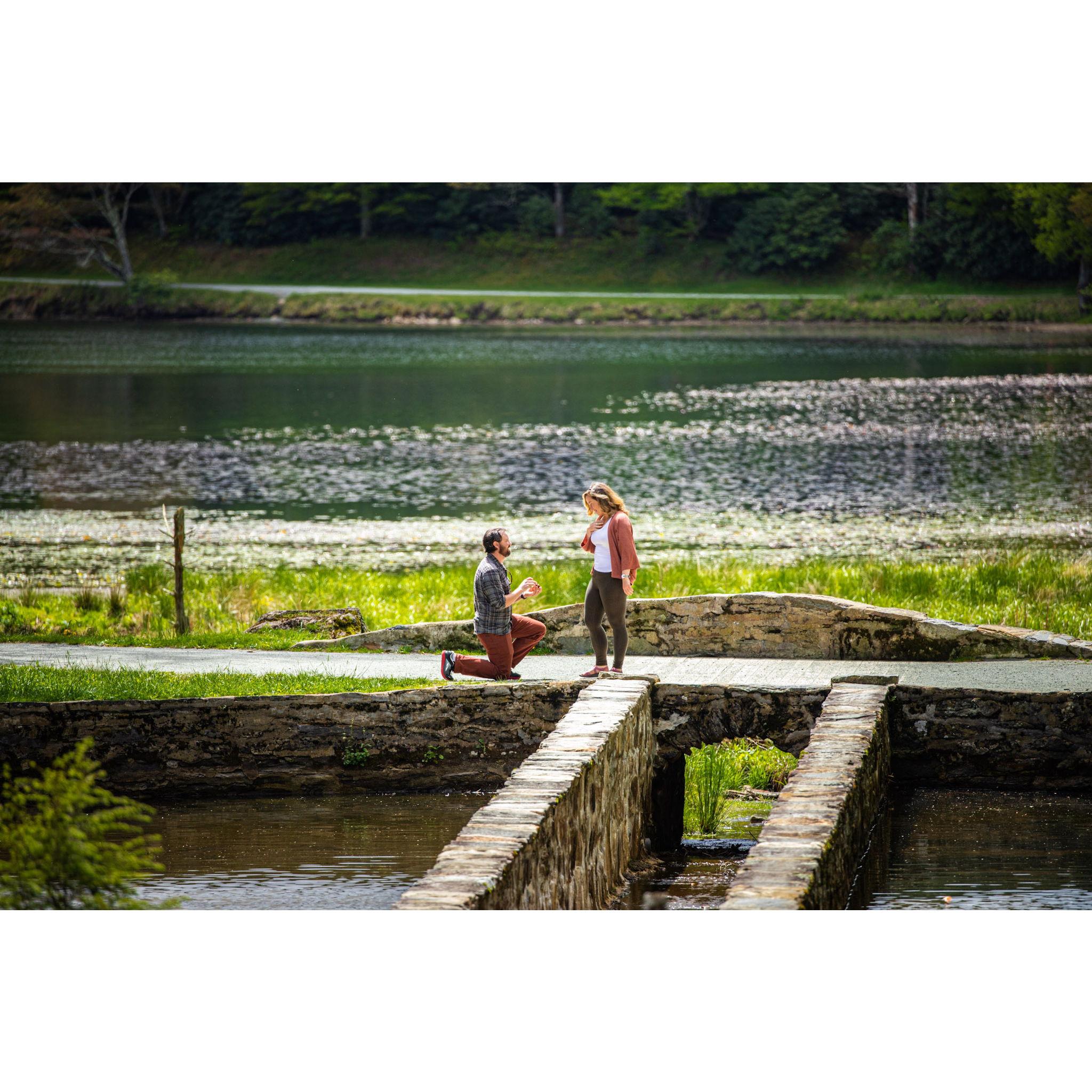 When Artley proposed at Jenny's favorite place, Bass Lake. Thank you, India, for hiding in the bushes to take these photos!