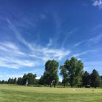 The Old Baldy Club