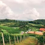 Linville Falls Winery