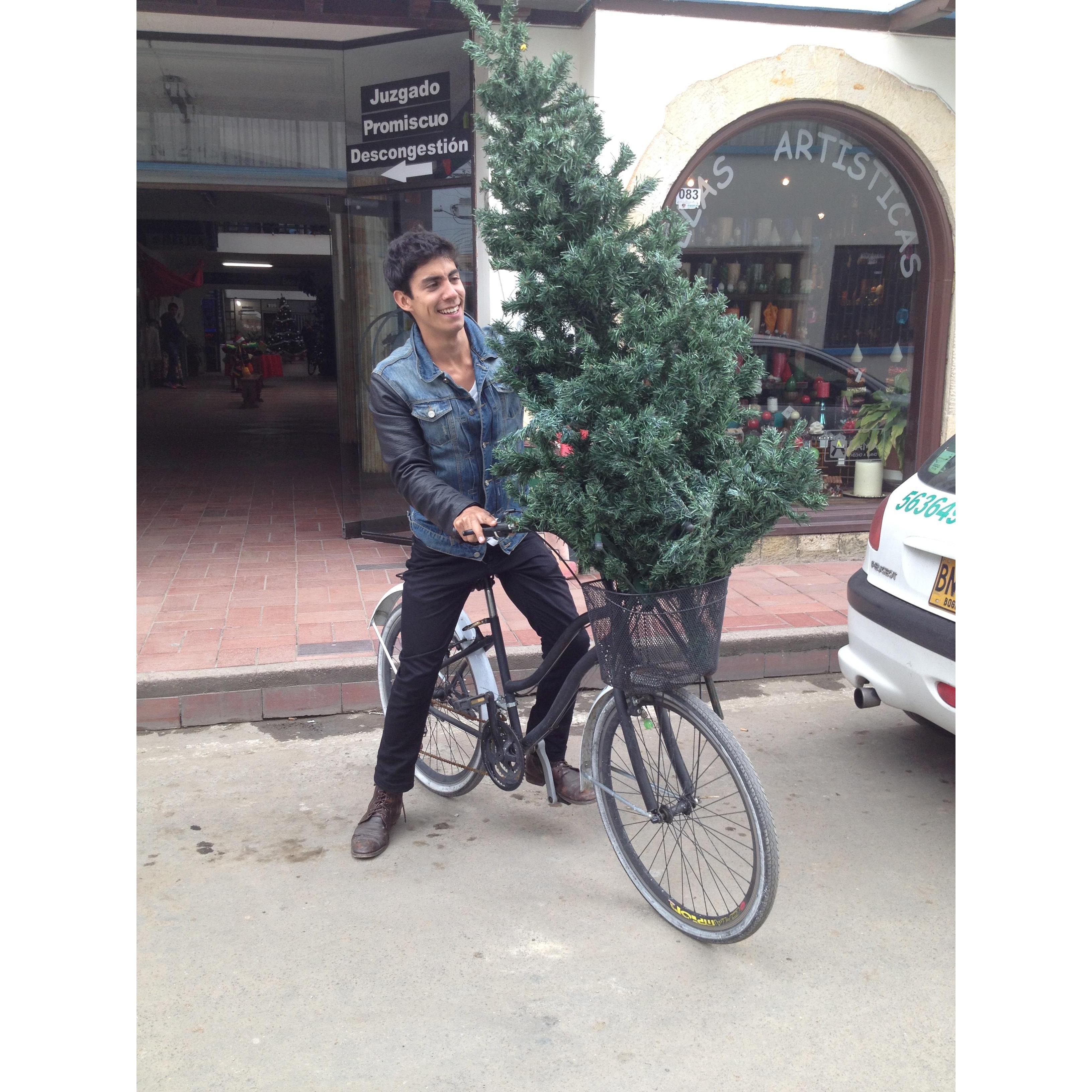 Getting ready for Christmas 2014