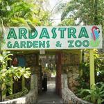 Ardastra Gardens, Zoo and Conservation Centre