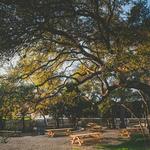 Live Oak Brewing Company