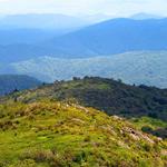 Black Balsam Knob