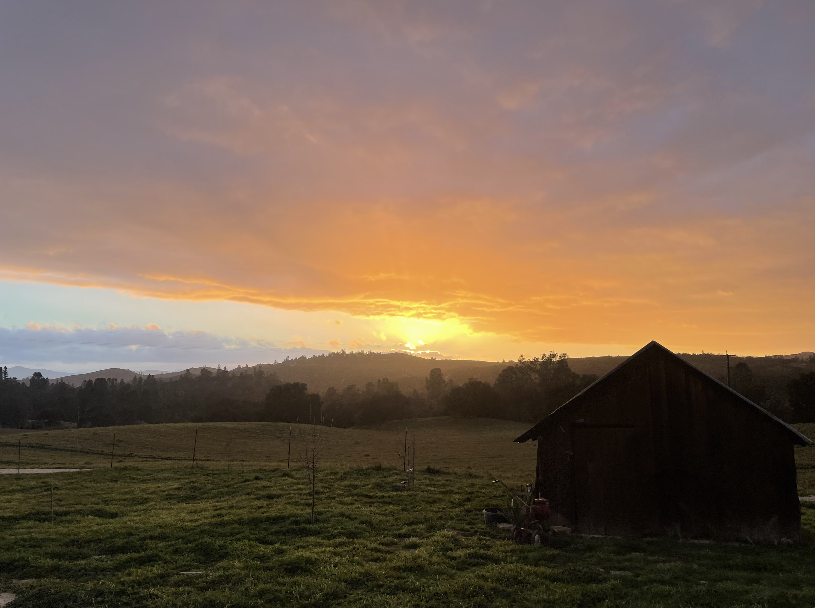 The Wedding Website of Tayler Philbrick and Dakota Towle