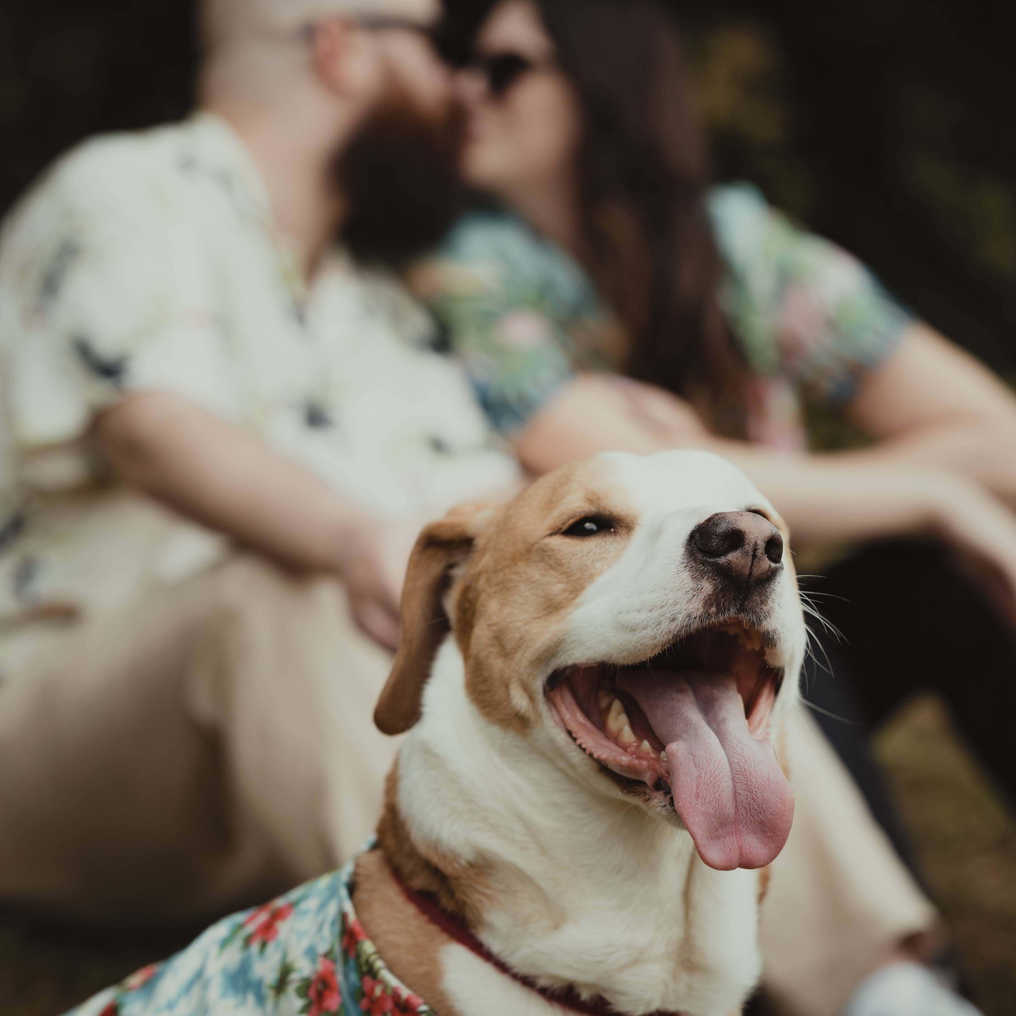 Raleigh finally getting the spotlight he deserves!