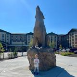 Great Wolf Lodge Water Park | Perryville