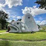 Jayuya