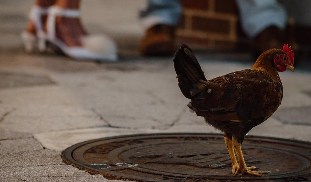 The Wedding Website of Katie Loret de Mola and Raad Gheith