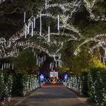 Celebration In The Oaks