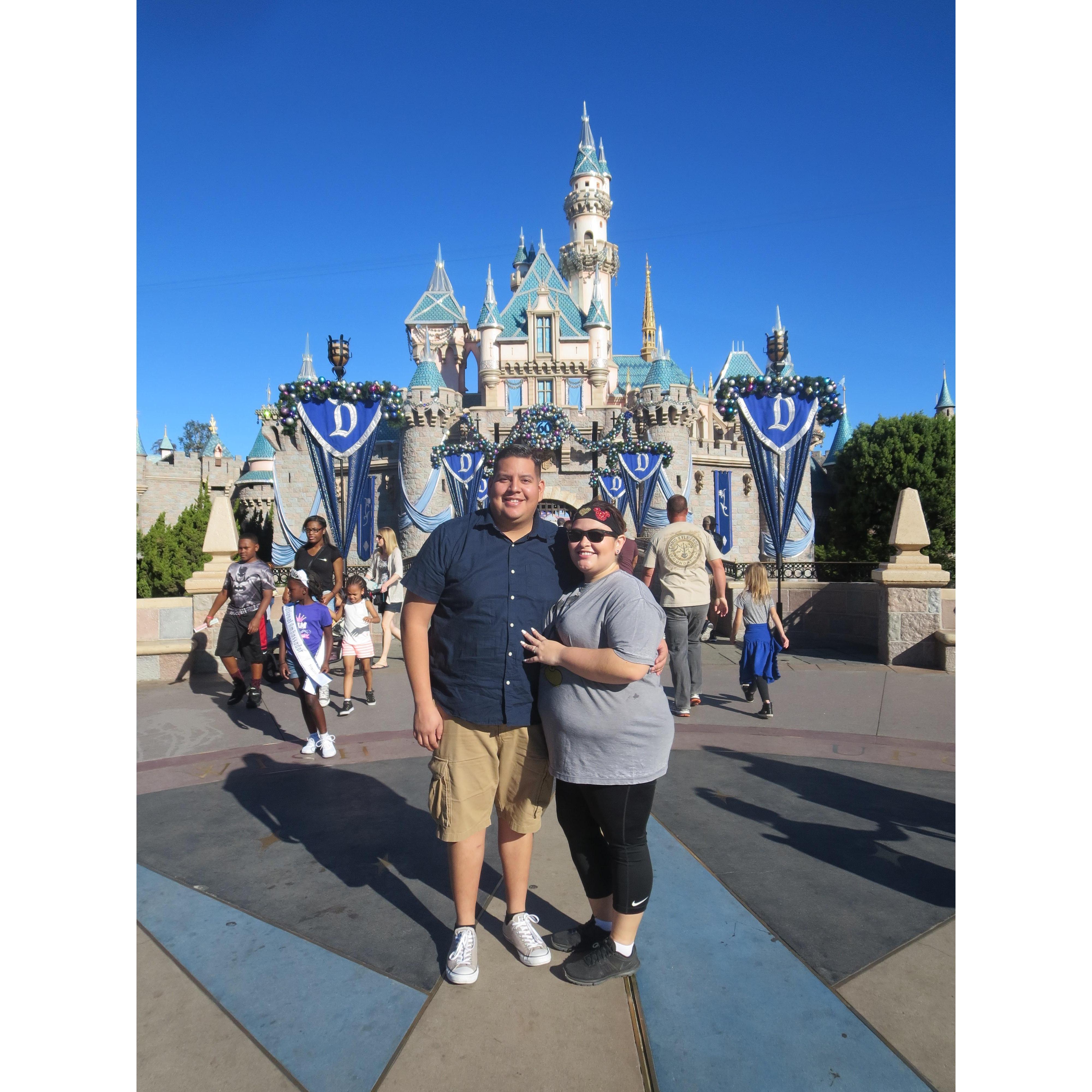 Disneyland 2015