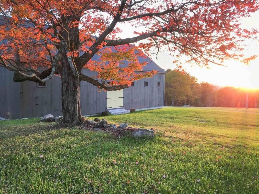 The Wedding Website of Chelsea Owens and Maxwell Sullivan