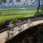 Jekyll Island Trail System