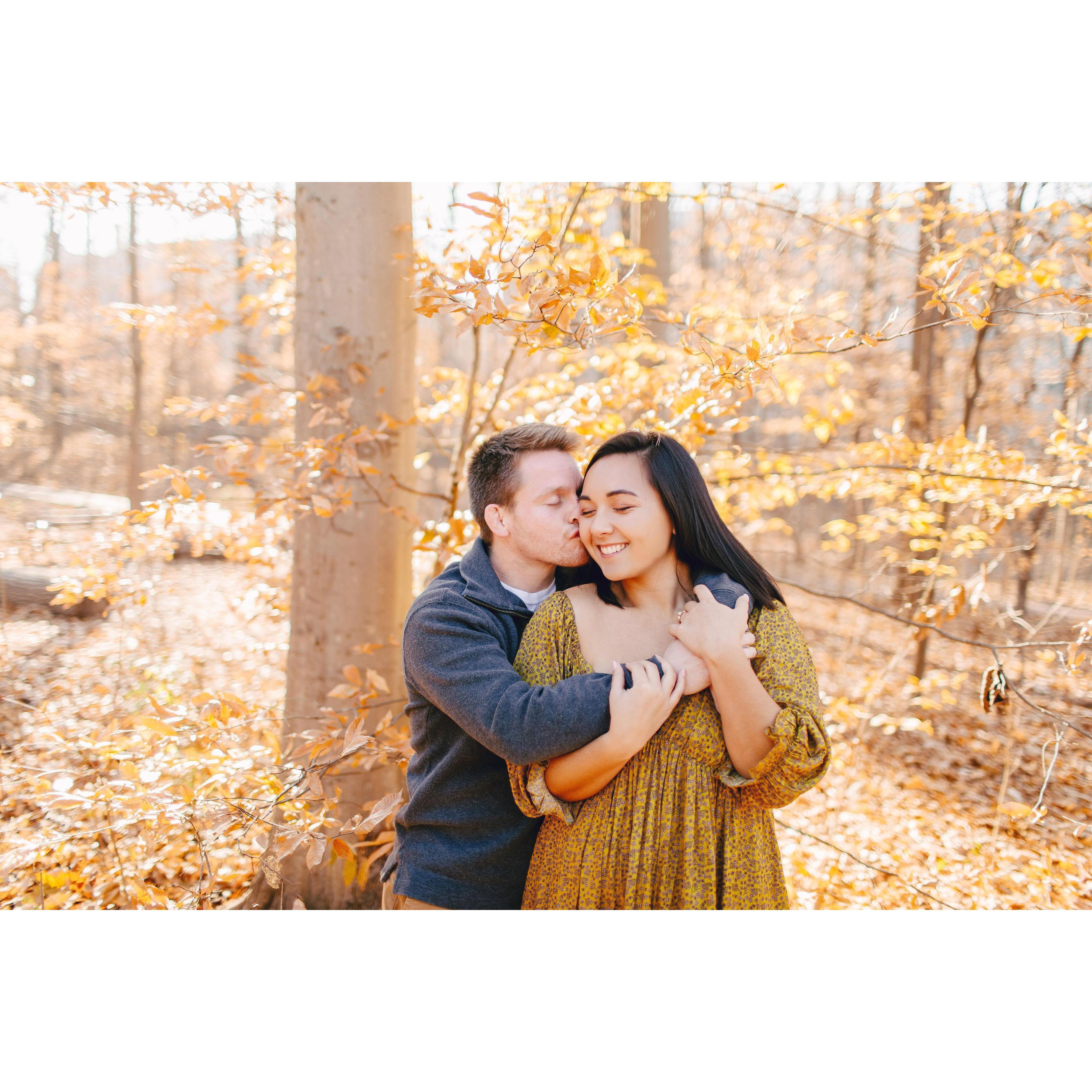 A few engagement pictures