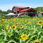 Finger Lakes Cider House