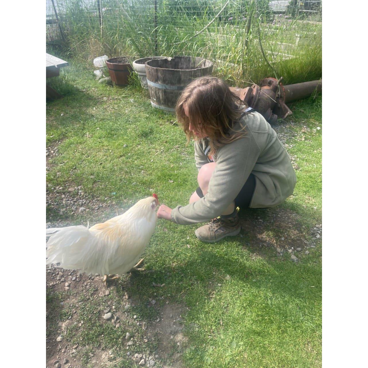 Olivia saying hi to a chicken some where in Alaska before going Gold panning together.