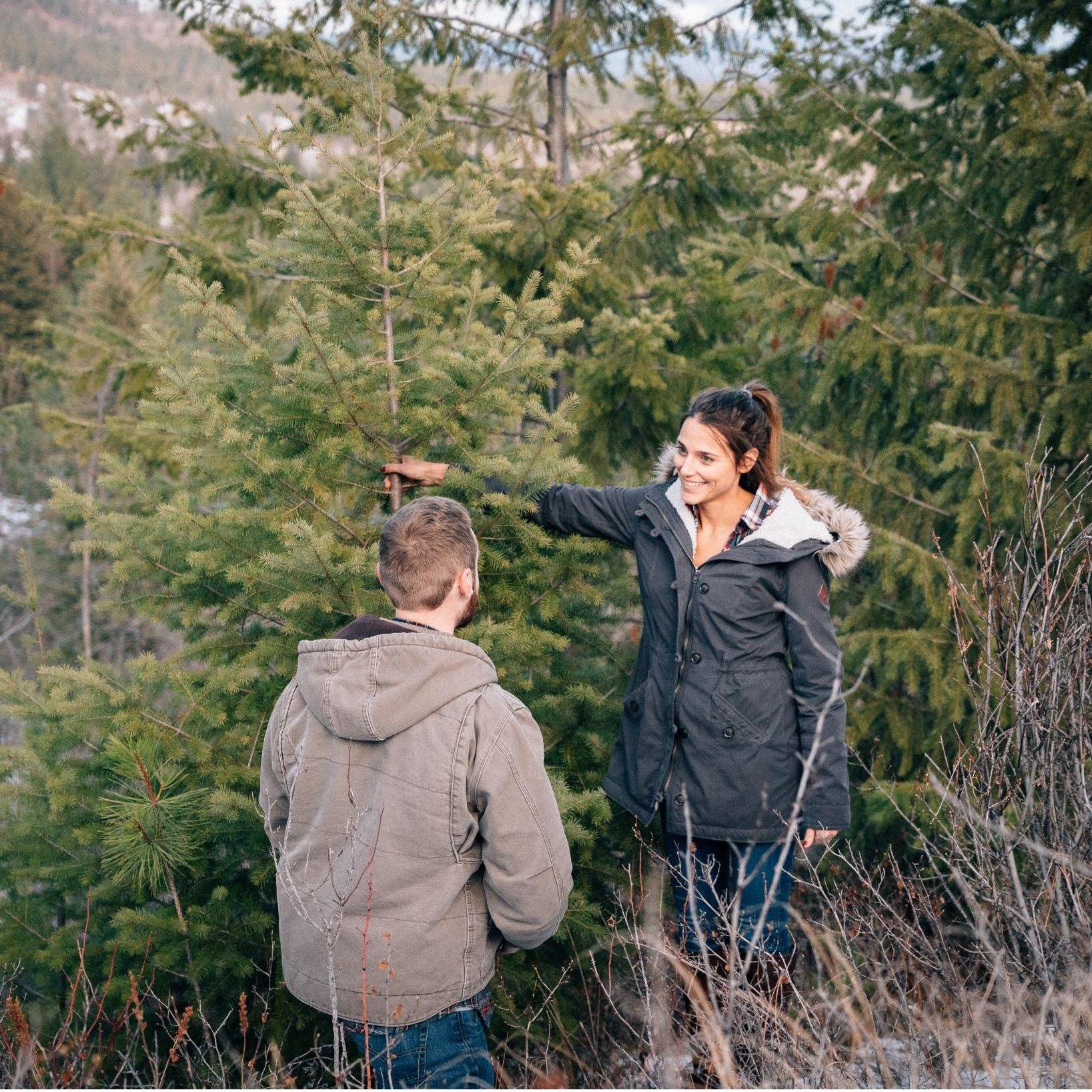 December 2018, Washington - She said yes!