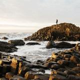 National Trust - Giant's Causeway Visitor Centre