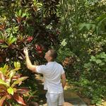 Sunken Gardens