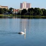 Lake Morton