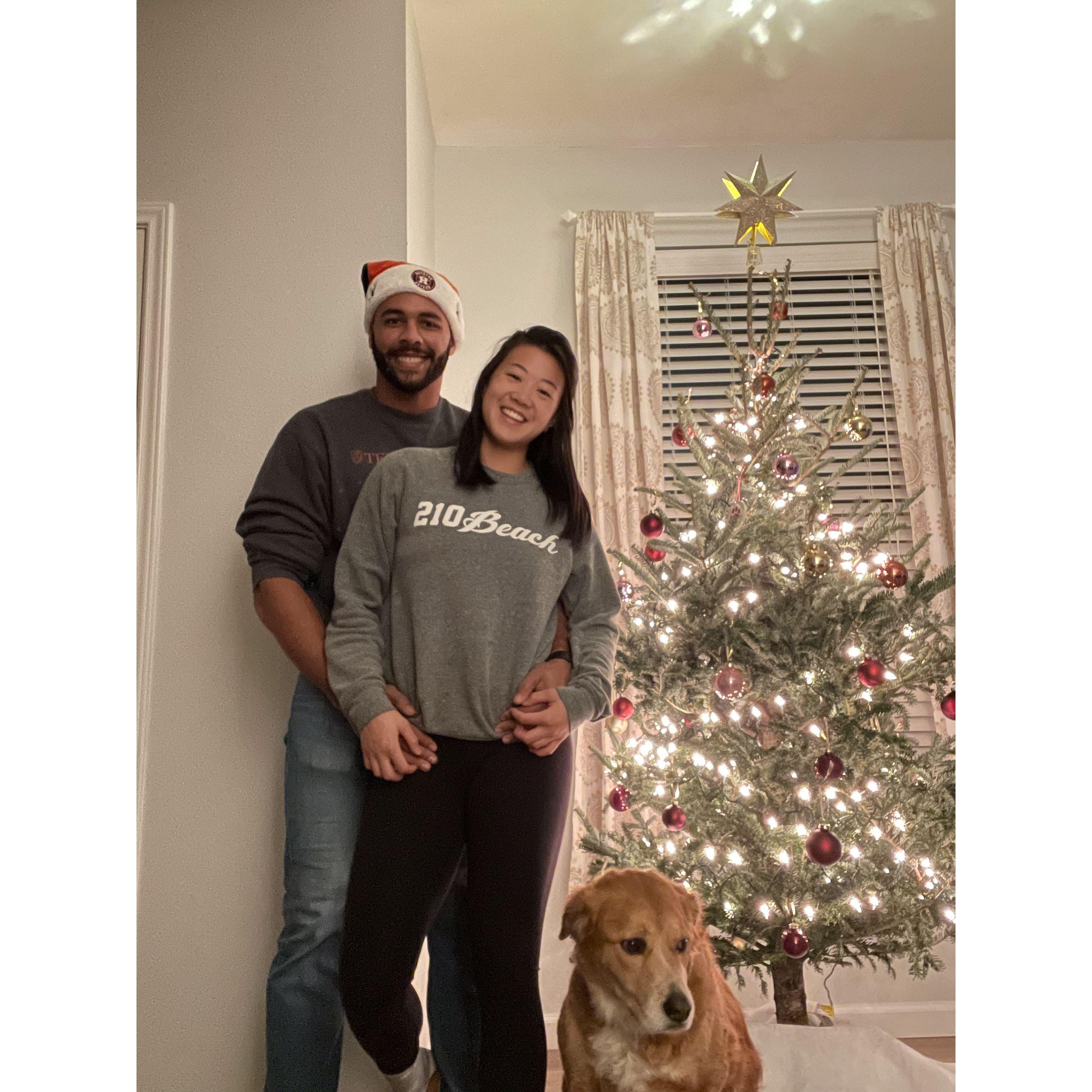 On their first Christmas, Bradley forced Haley to buy a real tree (she'd never done that before) - pine needles and all. This would then become a tradition.