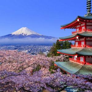 David & Kaylie’s Japan Honeymoon Fund
