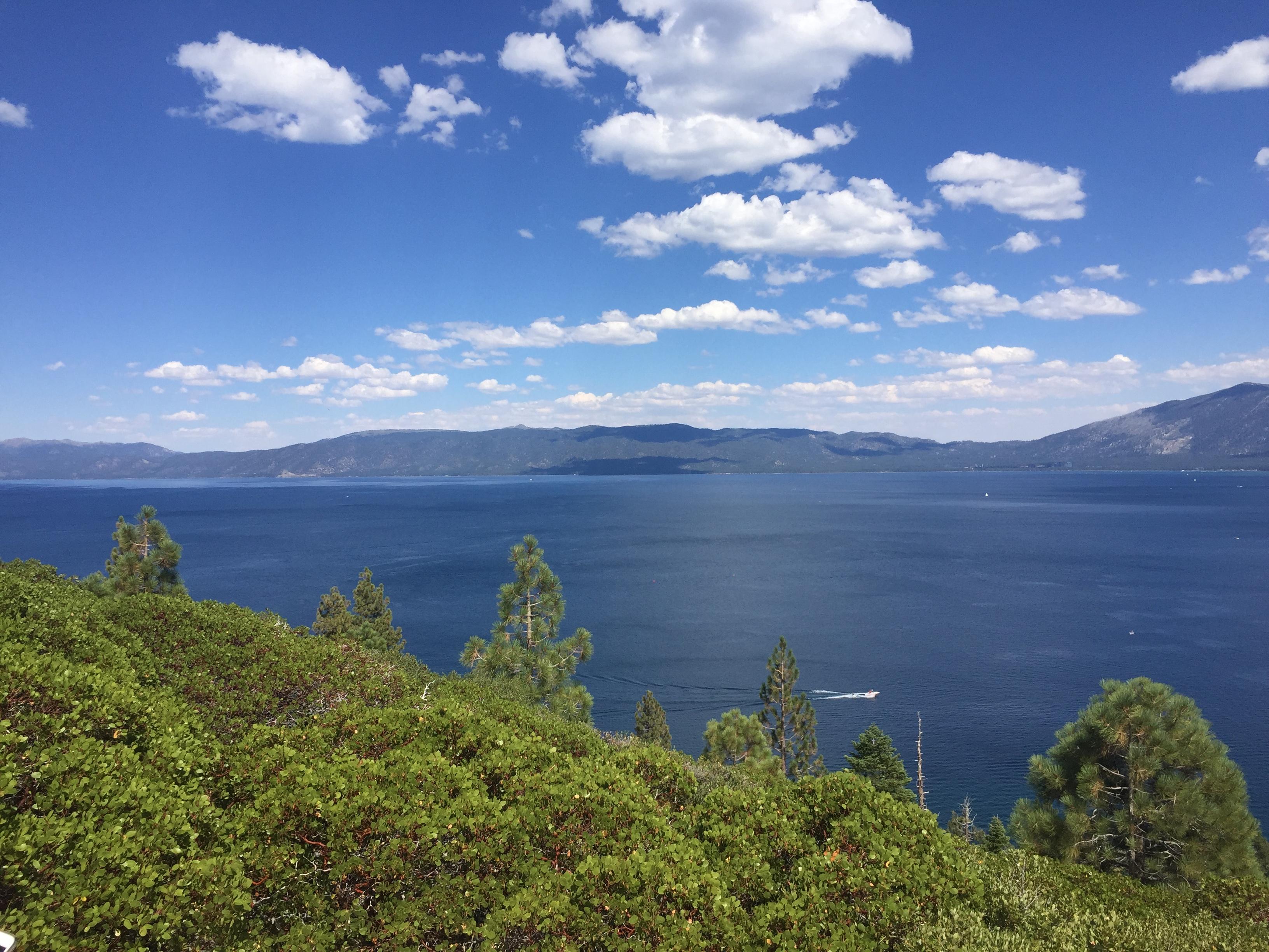 4878e10a-63b7-4c4e-bfdc-cdbb40f4ea88