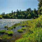 River Forks Park