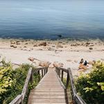 67 Steps Beach & Permit Parking