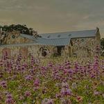 Wimberley Valley Winery