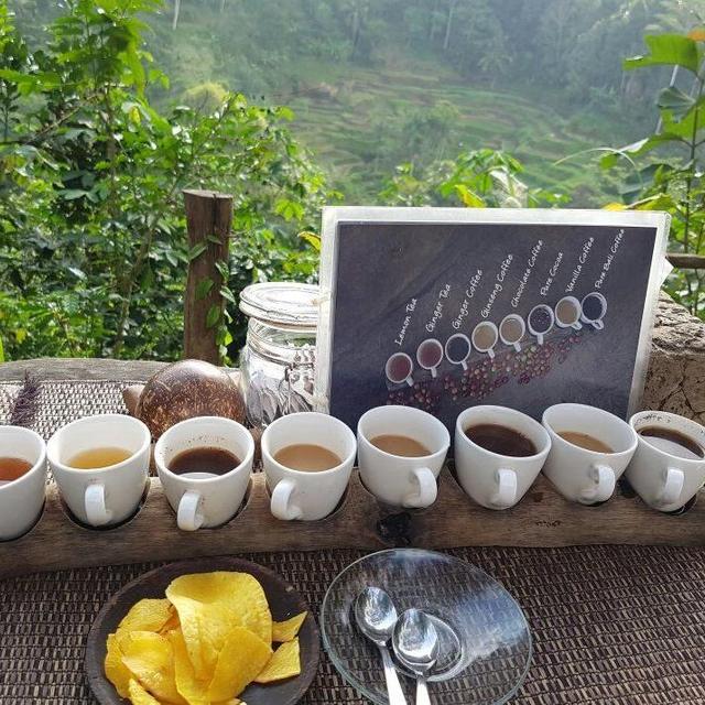All-day Private Guided Tour of Bali