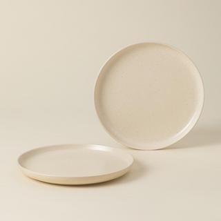 Pacifica Dinner Plate, Set of 2