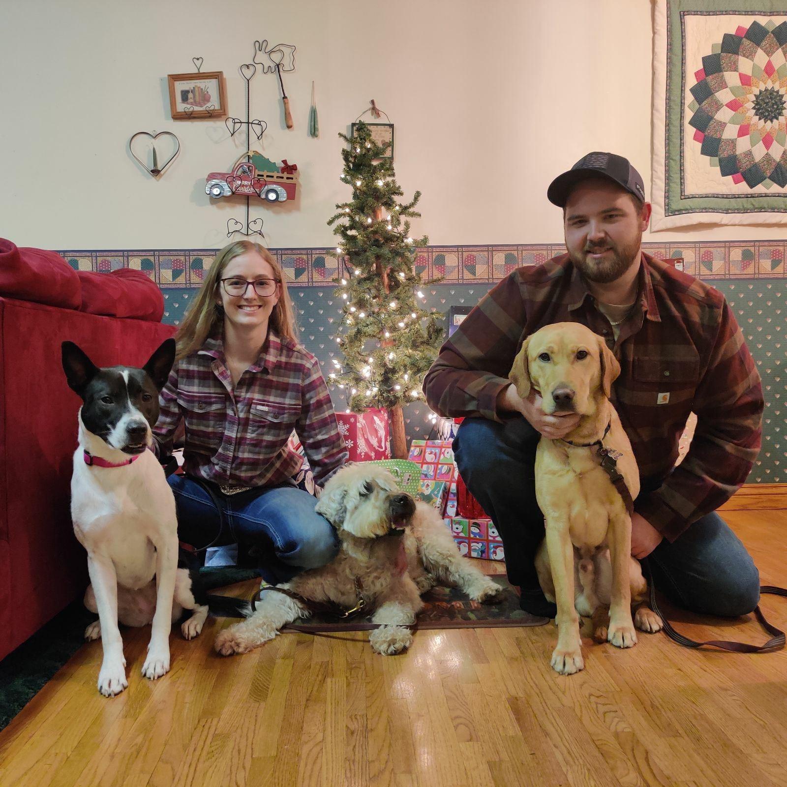 Had to get some photos with all of the dogs at Christmas time as we knew Biscuit's time with us was dwindling.