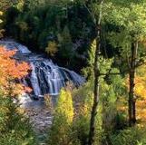 Morgan Falls