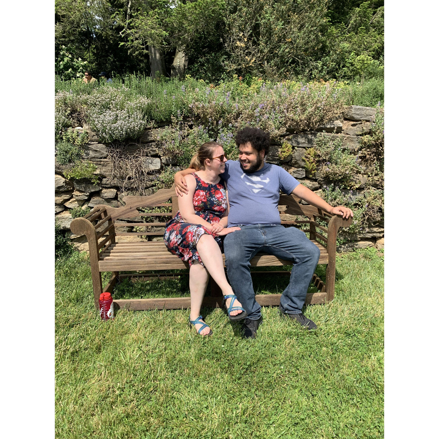 Morris Arboretum, June 2023