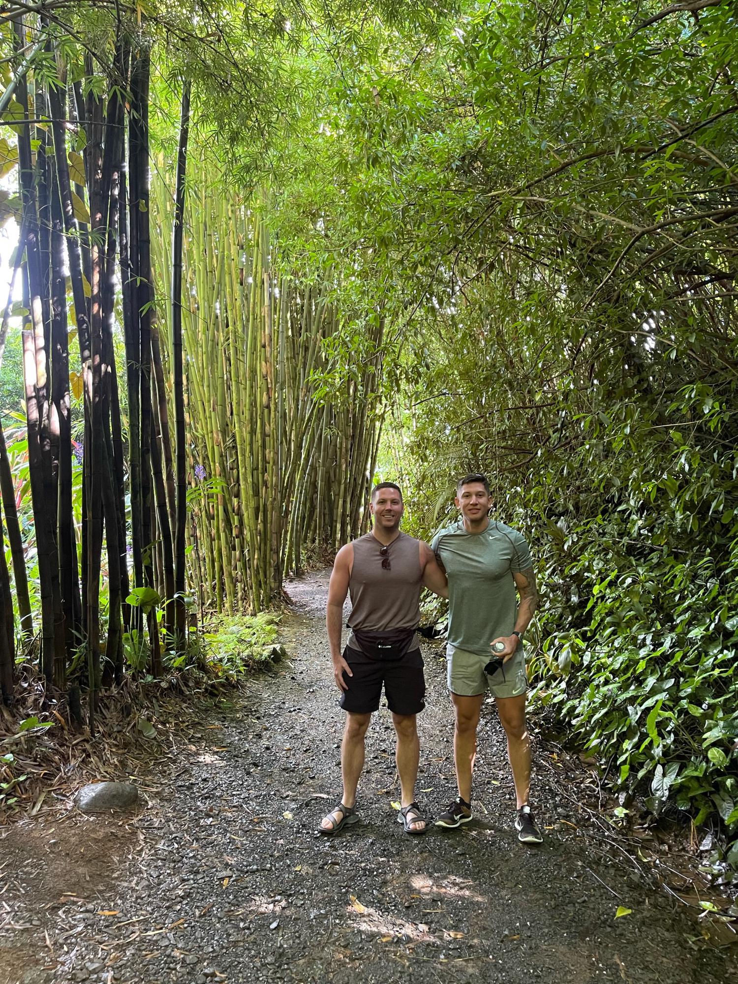 Bamboo trail in Maui