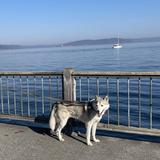 Point Defiance