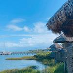 Conch House Marina