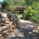 Swamp Rabbit trail