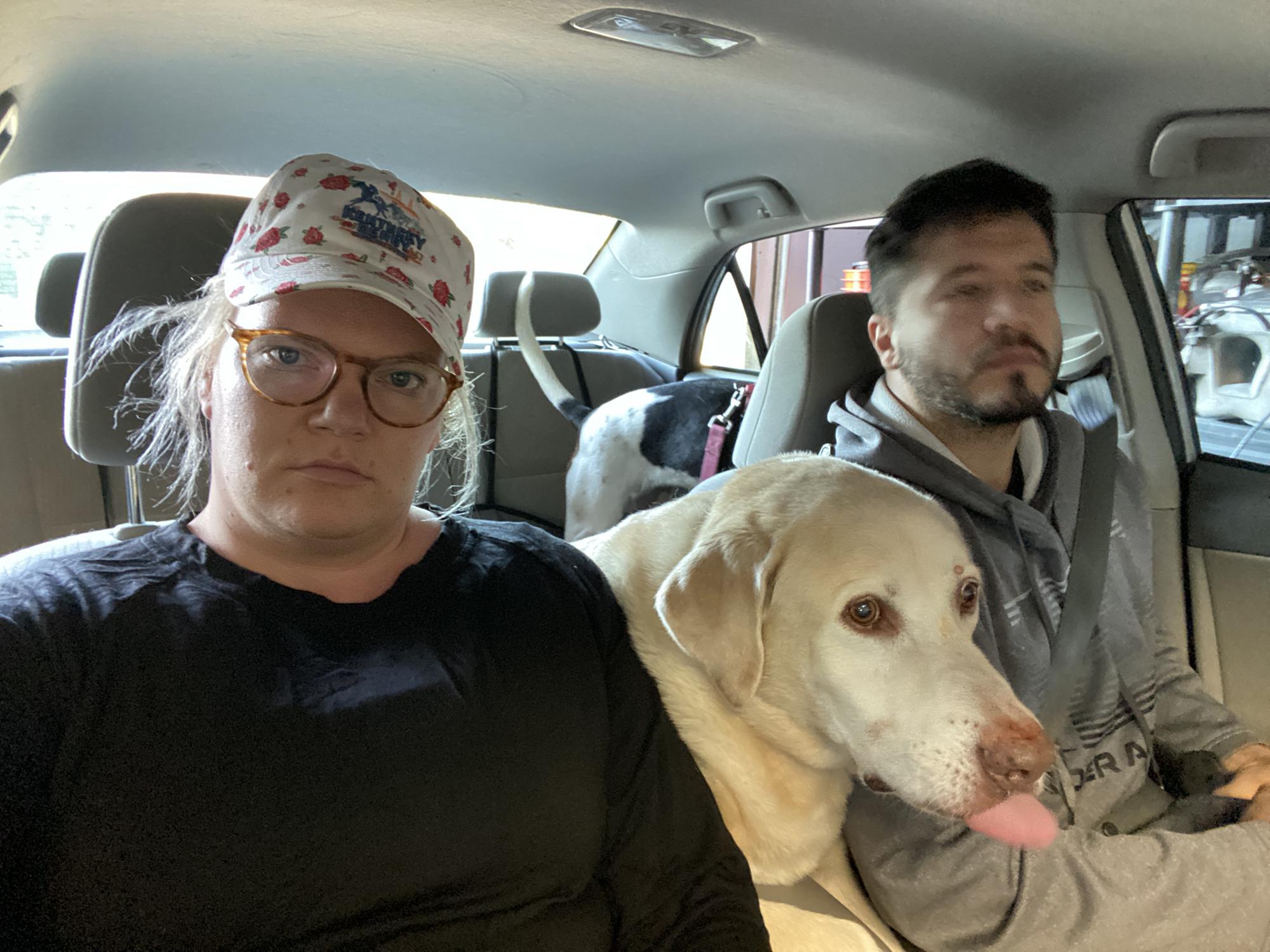 Every family trip with the dogs looks like this! Haha