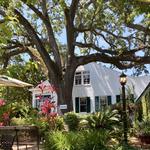 Mary Mahoney's Old French House