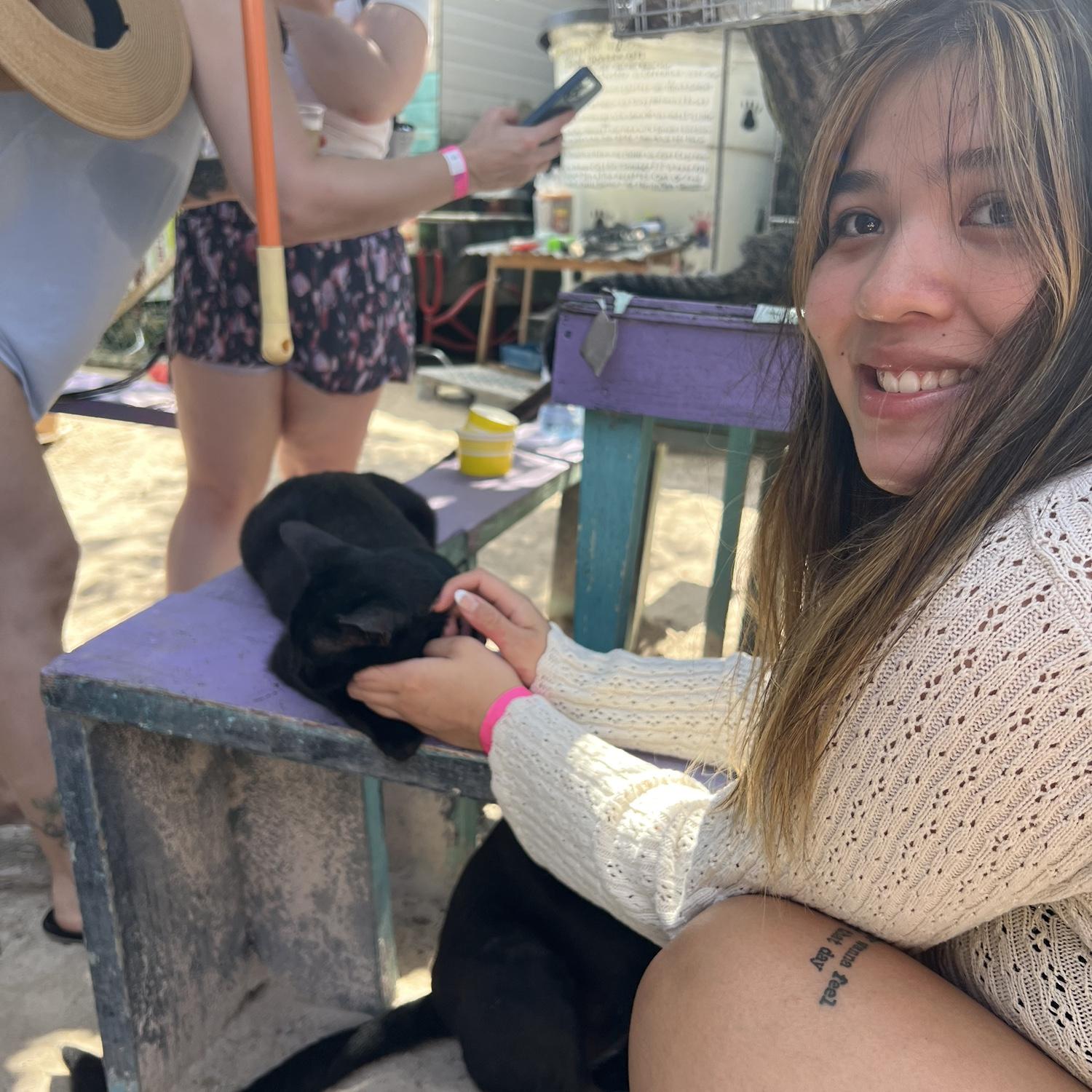 Kitty sanctuary in Caye Caulker, Belize