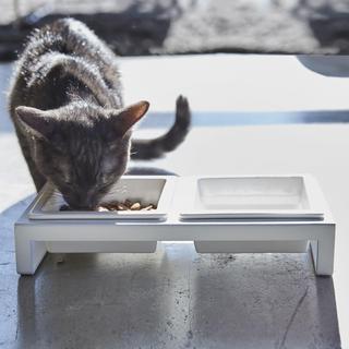 Pet Food Bowl with Short Stand