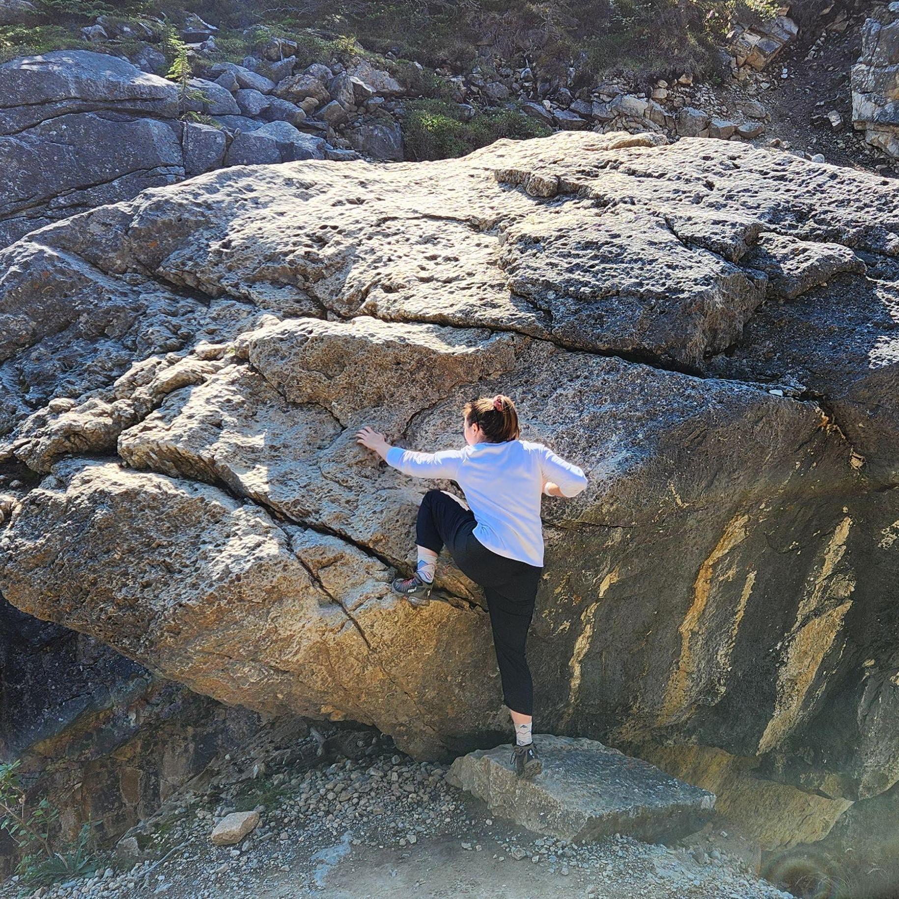 Putting those climbing skills to good use in Canada!