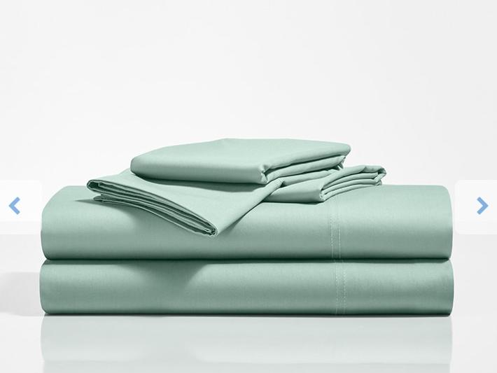 Sleep Number Essential Fit Cotton Sheet Set - King Size in Sage