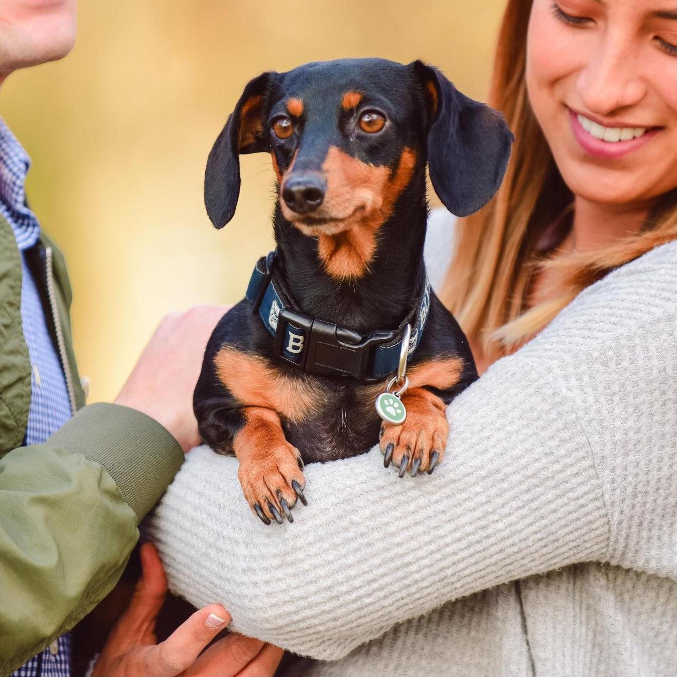 Coxhall Gardens - featuring our weenie, Callie!