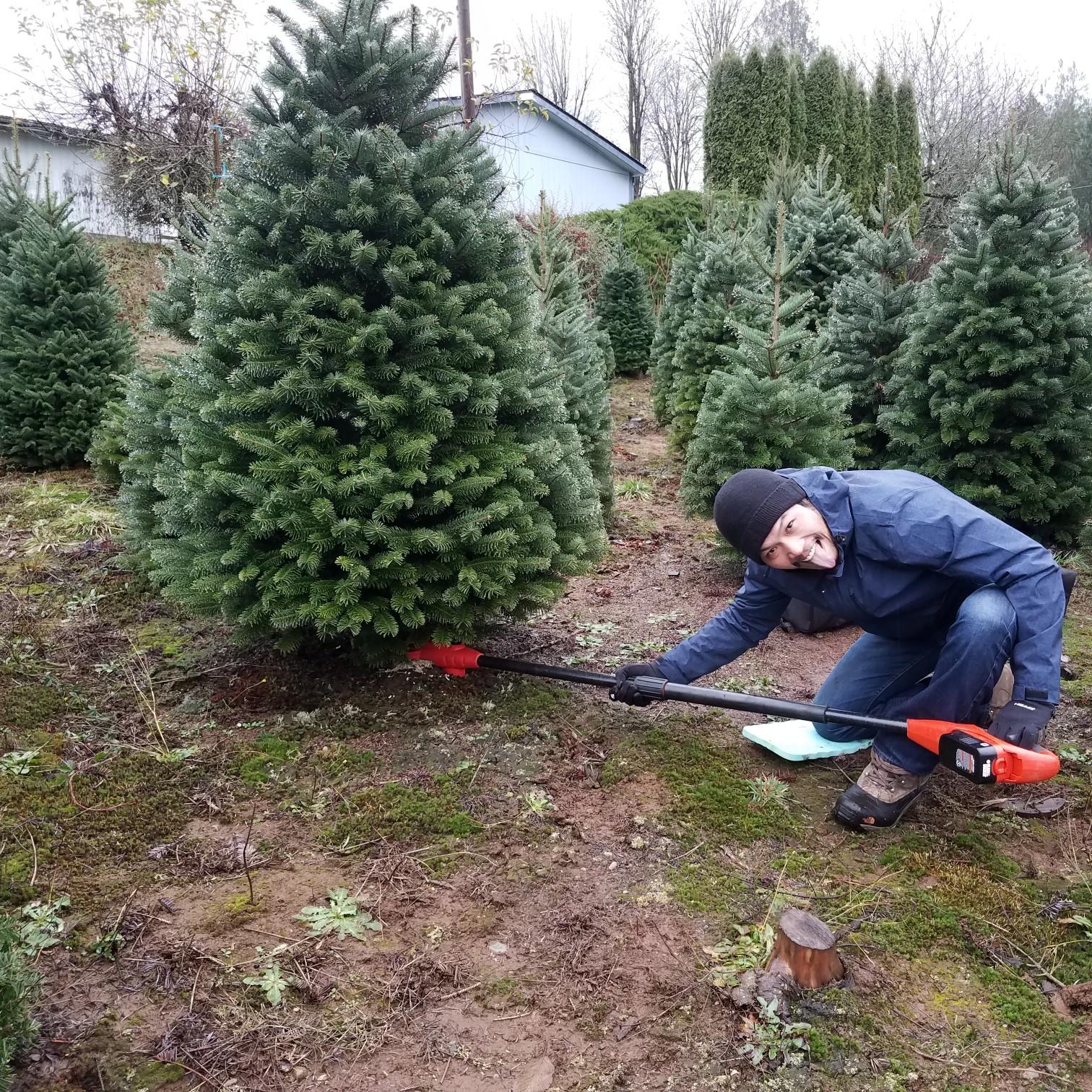 Finding the perfect match - Damien and Cathy assisted Grace in selecting the Christmas tree for the 2017 holiday gatherings.